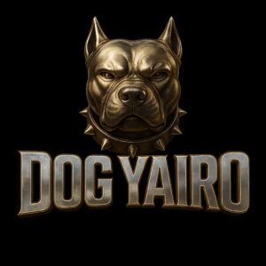 whatsapp image 2025 09 09 at 12.53.42 pm